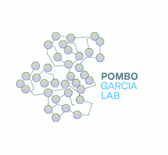 The Pombo García Lab