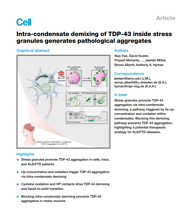 Screenshot 2025-11-20 105032