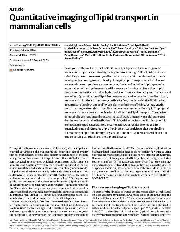 Screenshot 2026-04-03 180749